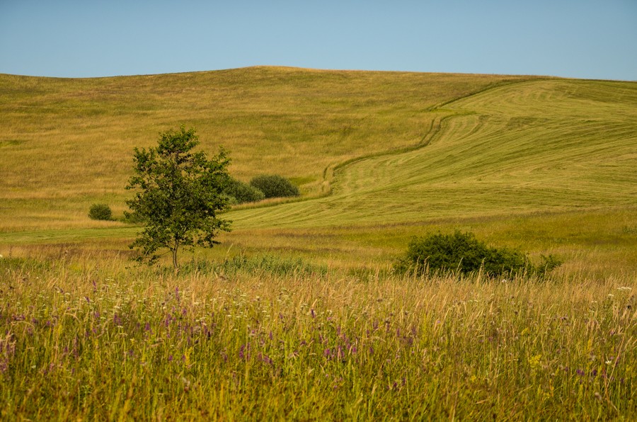 Bieszczady po latach. Łupków na początek