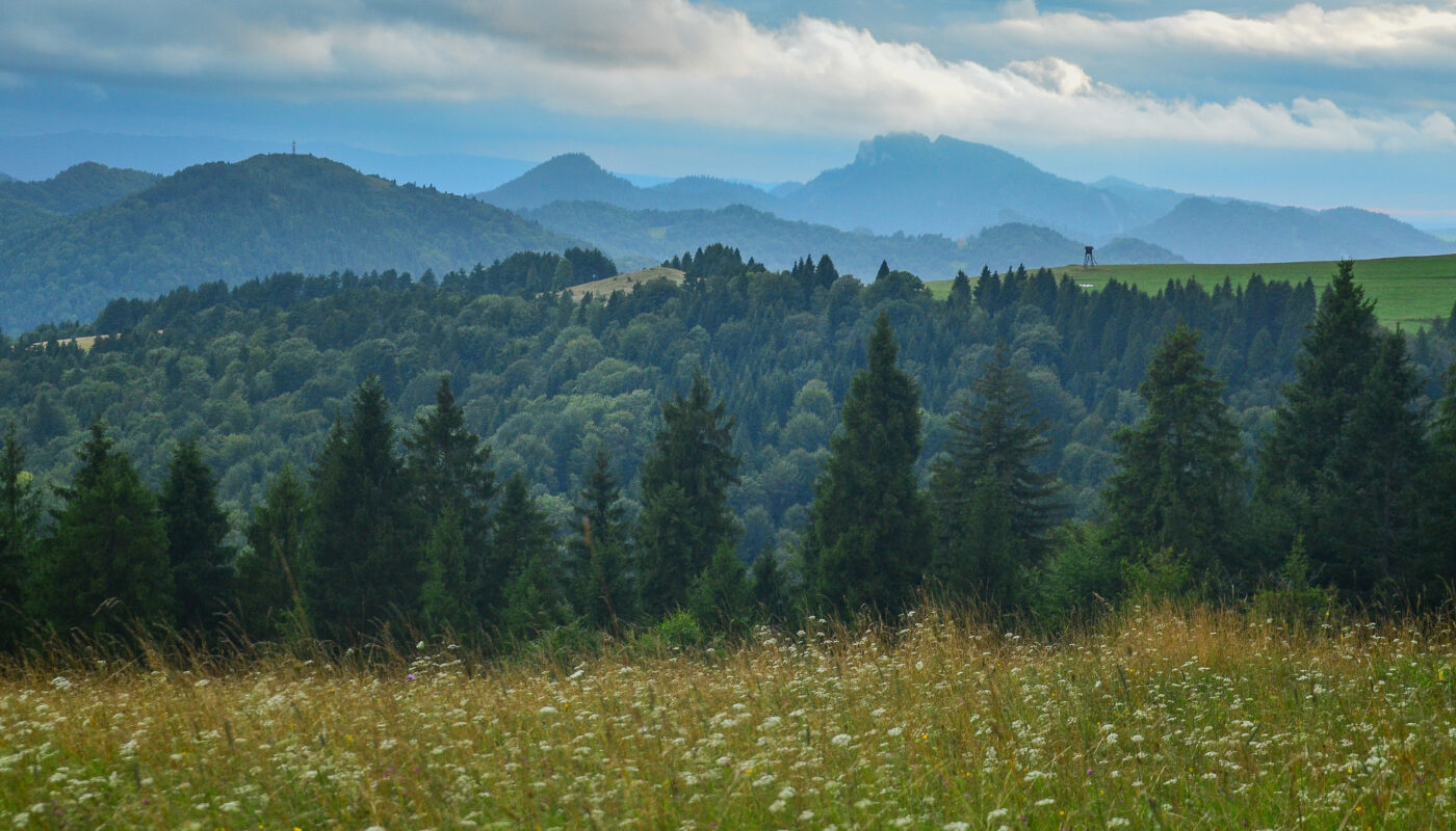 Przehybę
