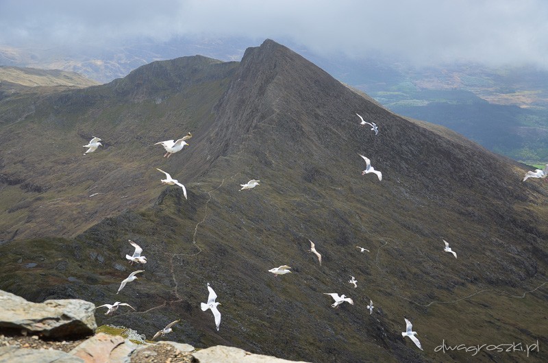 93 - Snowdonia i Snowdon - walijskie Tatry Zachodnie