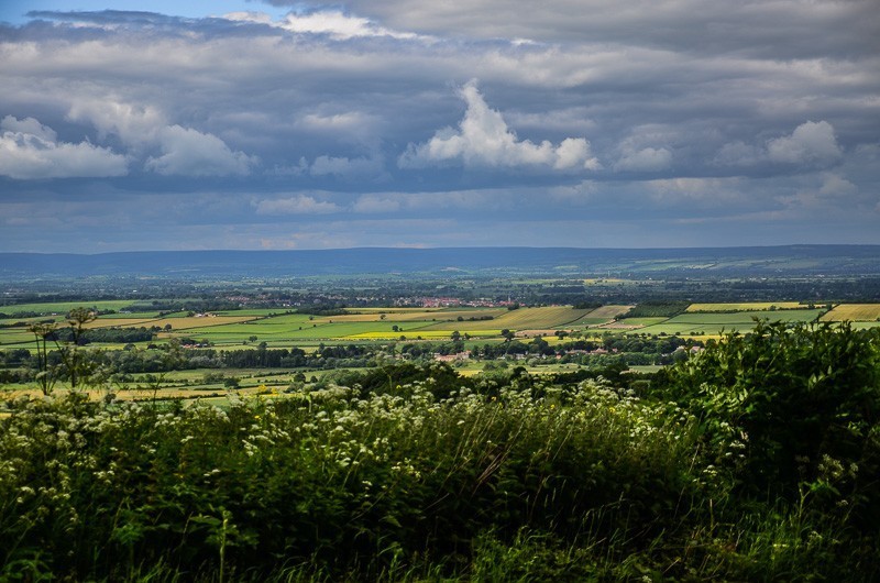 139 - Yorkshire Wolds i Wharram Percy, czyli makowa Anglia