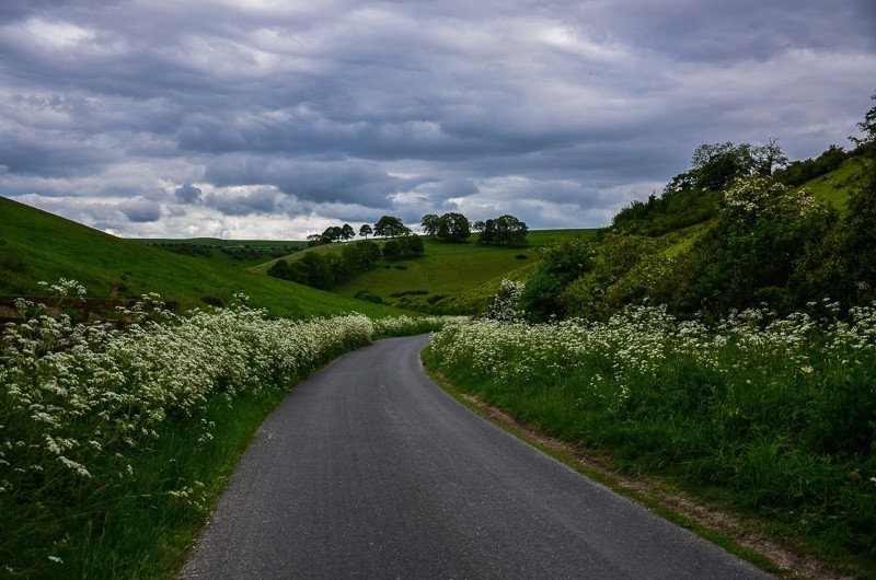 144 - Yorkshire Wolds i Wharram Percy, czyli makowa Anglia