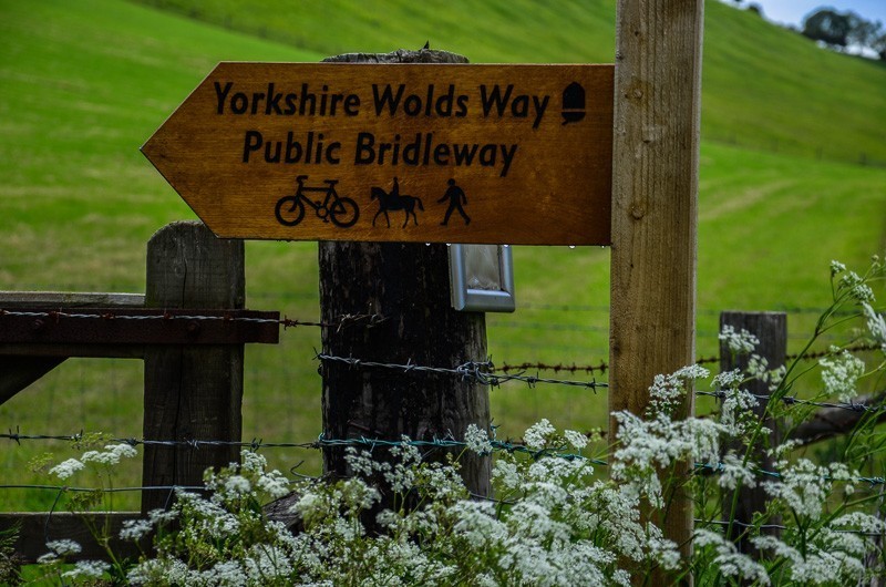 191 - Yorkshire Wolds i Wharram Percy, czyli makowa Anglia