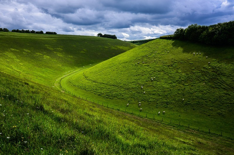 197 - Yorkshire Wolds i Wharram Percy, czyli makowa Anglia