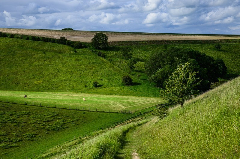 200 - Yorkshire Wolds i Wharram Percy, czyli makowa Anglia