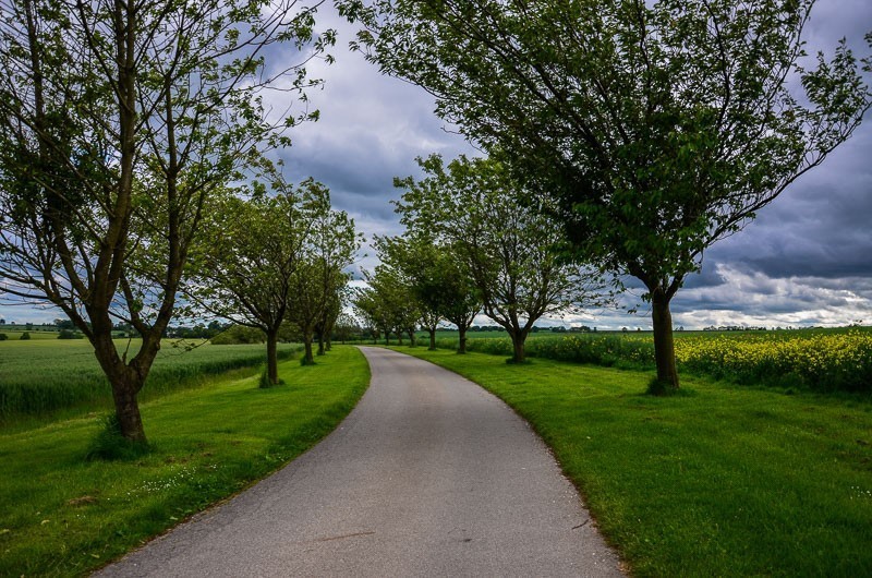 222 - Yorkshire Wolds i Wharram Percy, czyli makowa Anglia