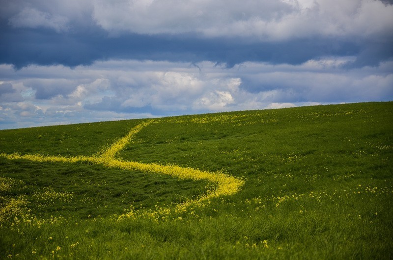 57 - Yorkshire Wolds i Wharram Percy, czyli makowa Anglia