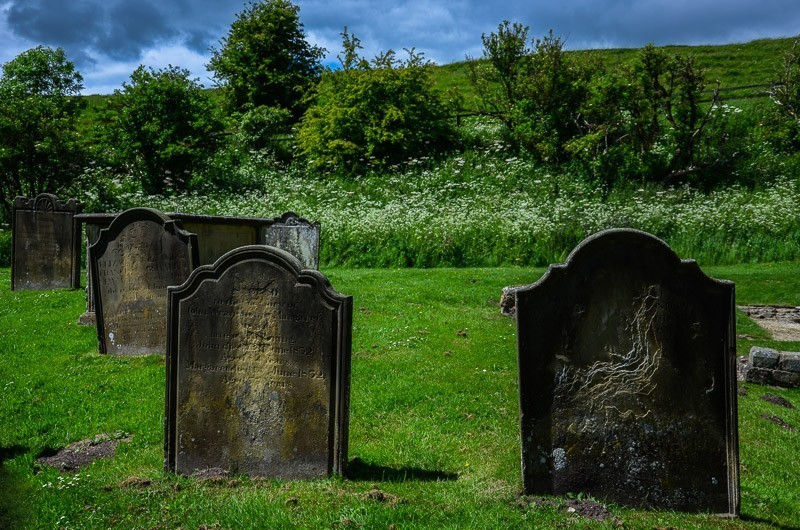 74 - Yorkshire Wolds i Wharram Percy, czyli makowa Anglia