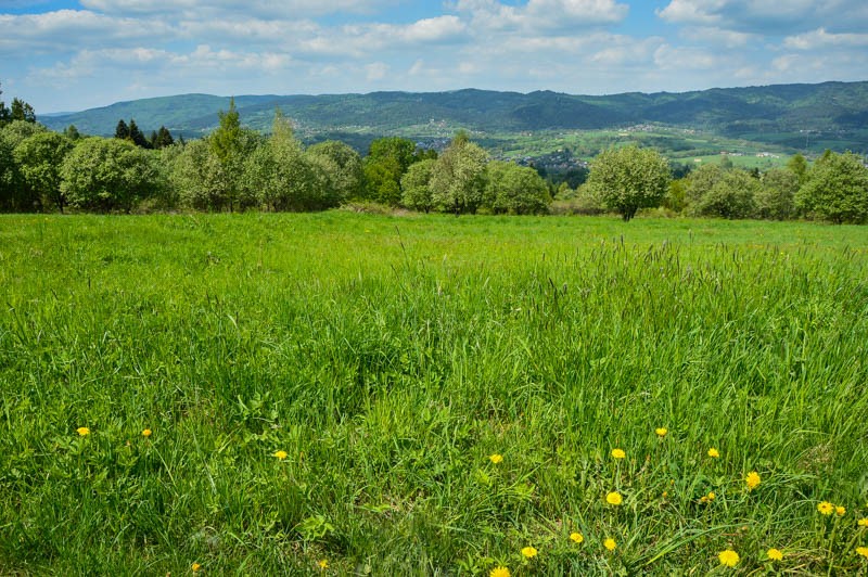 18 - Barutka, Ostry Groń i Czeretniki rowerowo