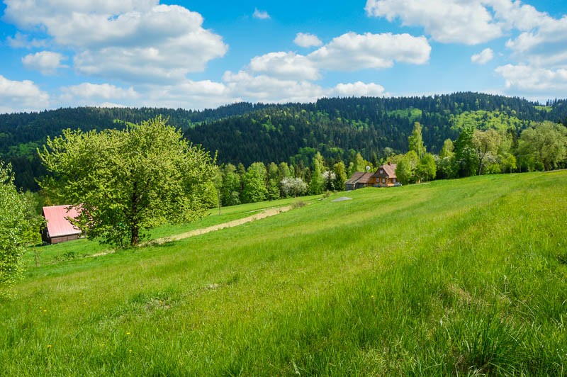 50 - Barutka, Ostry Groń i Czeretniki rowerowo