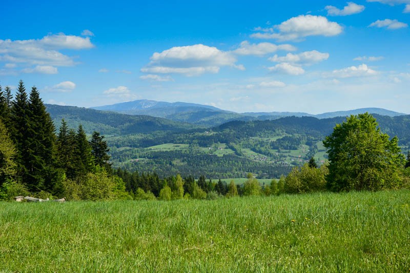 56 - Barutka, Ostry Groń i Czeretniki rowerowo