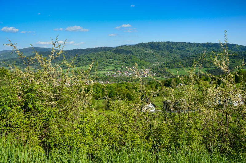 81 - Barutka, Ostry Groń i Czeretniki rowerowo