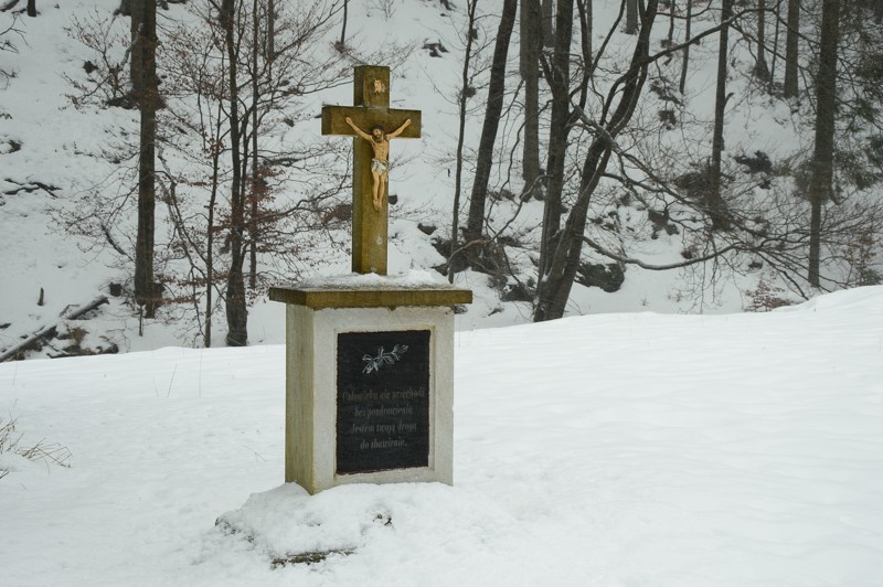 01 - Biegówki w Górach Bialskich. Bielice i okolice