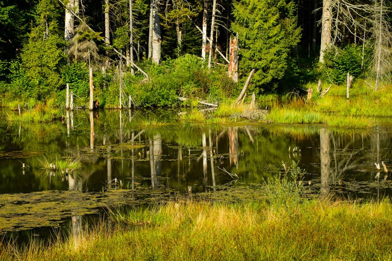 09 - Zimowe Bieszczady, czyli marzenia trzeba spełniać