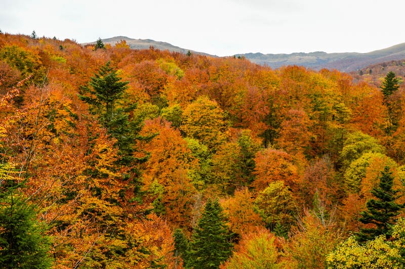 59 - Zimowe Bieszczady, czyli marzenia trzeba spełniać