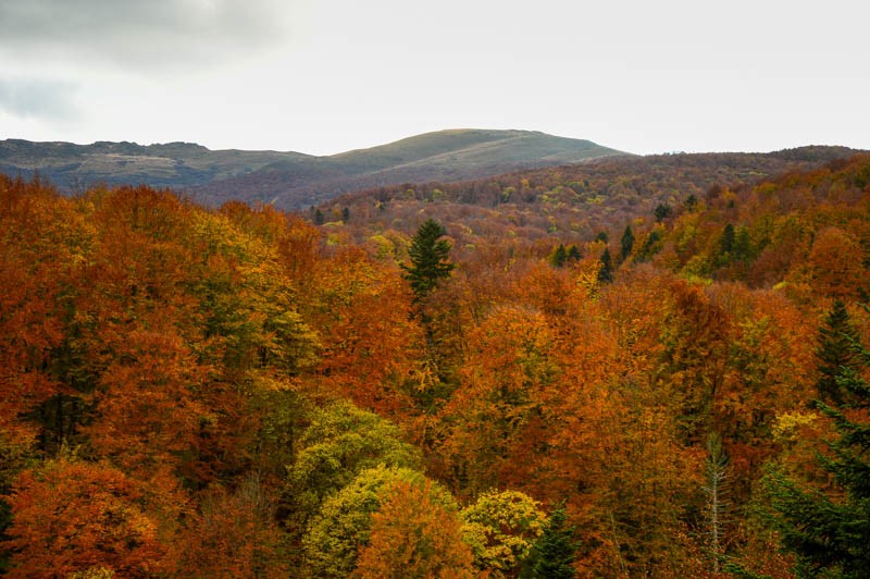 Bieszczady