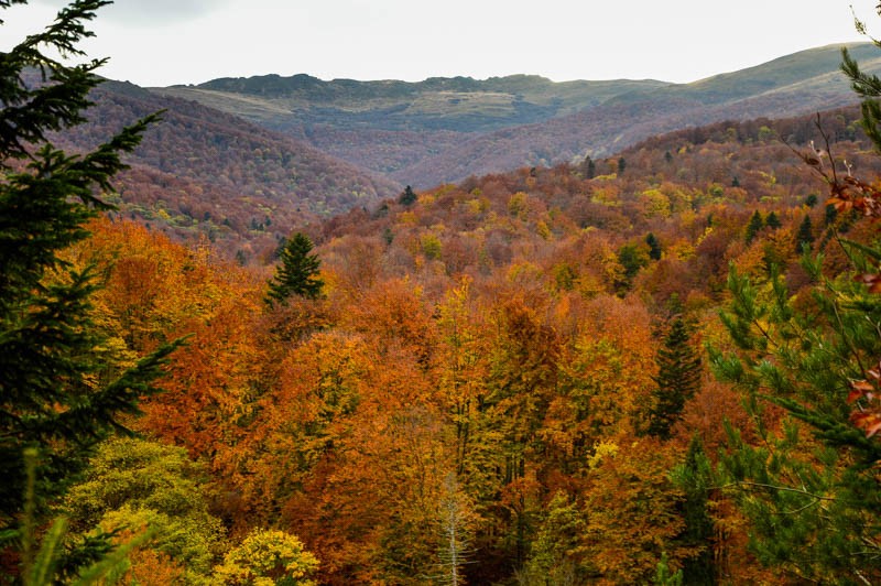 61 - Zimowe Bieszczady, czyli marzenia trzeba spełniać