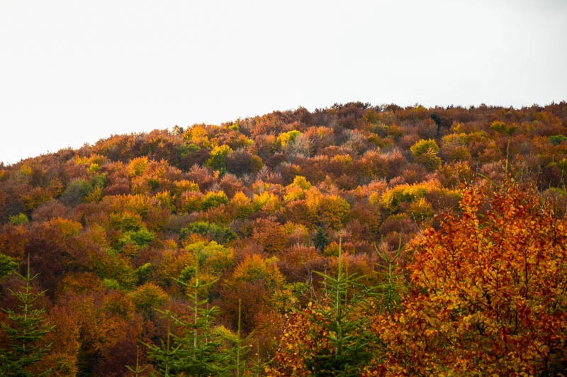 66 - Zimowe Bieszczady, czyli marzenia trzeba spełniać