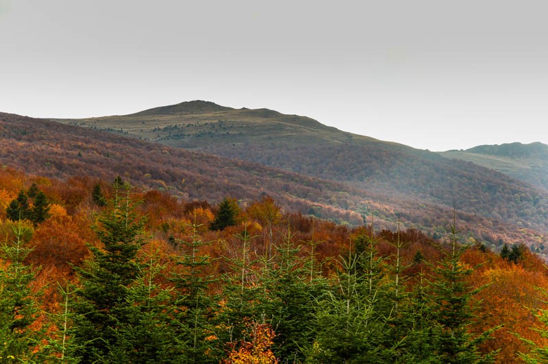 70 - Zimowe Bieszczady, czyli marzenia trzeba spełniać