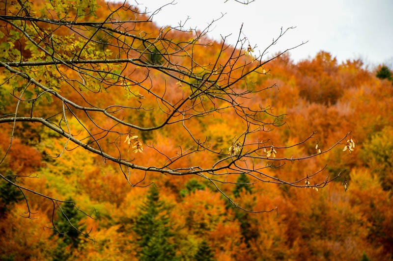 74 - Zimowe Bieszczady, czyli marzenia trzeba spełniać