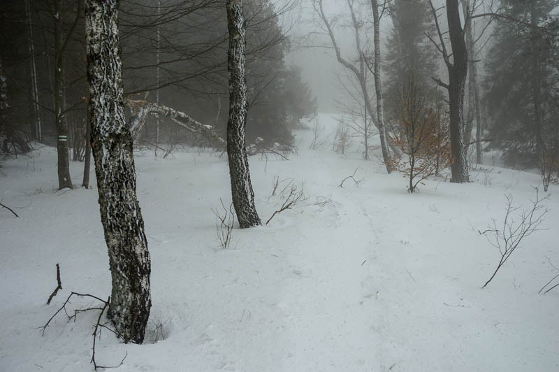 130 - W Bieszczadach w niepogodę. Góry i knajpy
