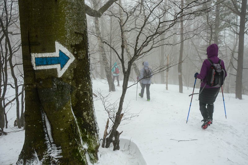 133 - W Bieszczadach w niepogodę. Góry i knajpy