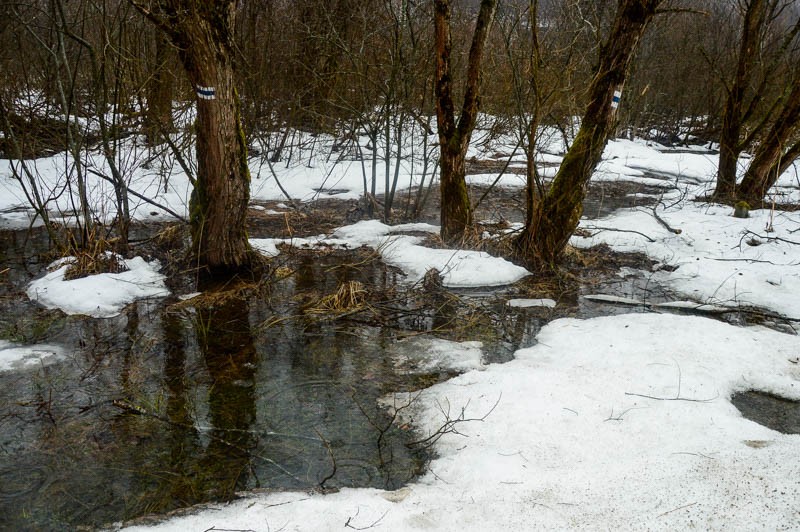 135 - W Bieszczadach w niepogodę. Góry i knajpy