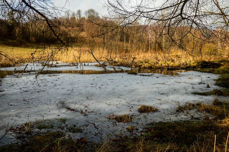 165 - W Bieszczadach w niepogodę. Góry i knajpy