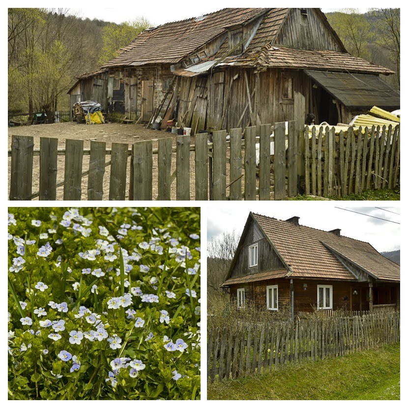 07 - Caryńskie, Przysłup i Magura Stuposiańska z Nasicznego