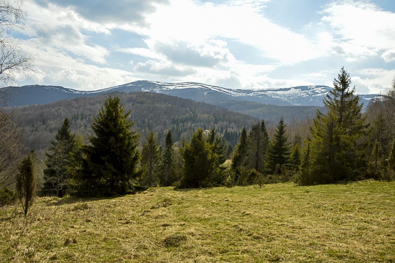 48 - Caryńskie, Przysłup i Magura Stuposiańska z Nasicznego