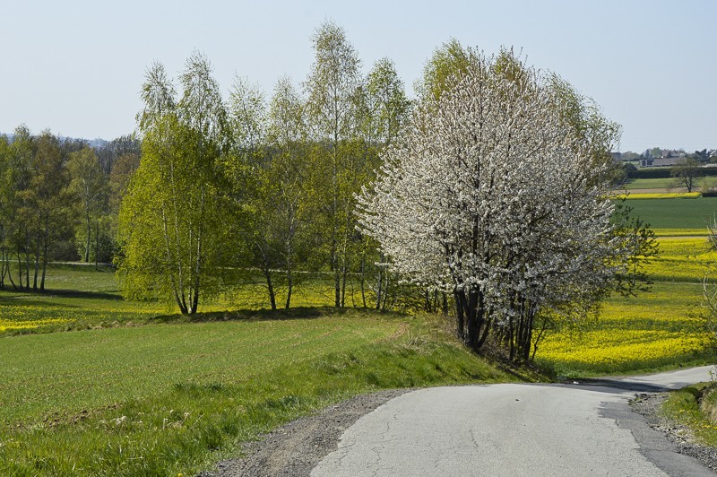 04 - Chrobacza Łąka rowerem. Z Kóz i do Lipnika