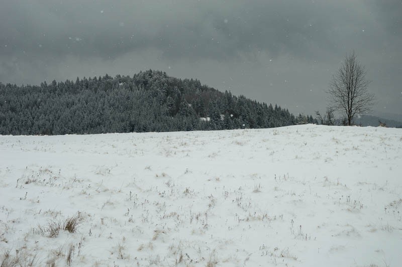 24 - Cyrla i Eliaszówka. Bo i w szarości tkwi siła