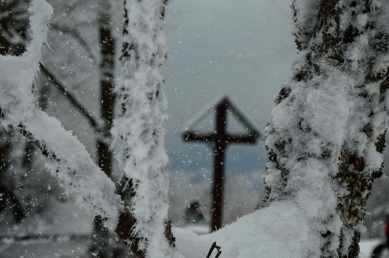 53 - Cyrla i Eliaszówka. Bo i w szarości tkwi siła