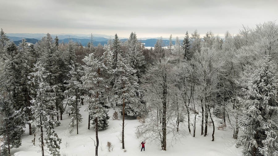 83 - Cyrla i Eliaszówka. Bo i w szarości tkwi siła