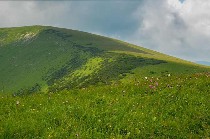 14 - Ostredok - Krížna - Zvolen, czyli Halną Fatrą do Donoval