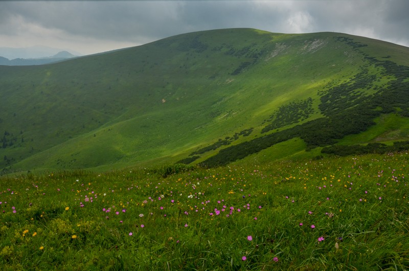 16 - Ostredok - Krížna - Zvolen, czyli Halną Fatrą do Donoval