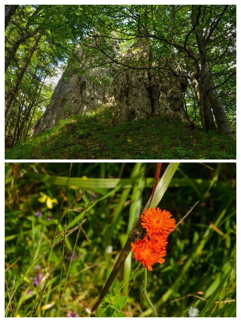 36 - Ostredok - Krížna - Zvolen, czyli Halną Fatrą do Donoval