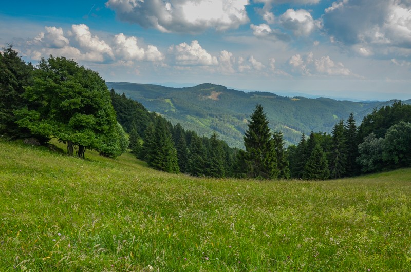 52 - Ostredok - Krížna - Zvolen, czyli Halną Fatrą do Donoval