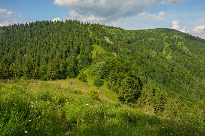 60 - Ostredok - Krížna - Zvolen, czyli Halną Fatrą do Donoval