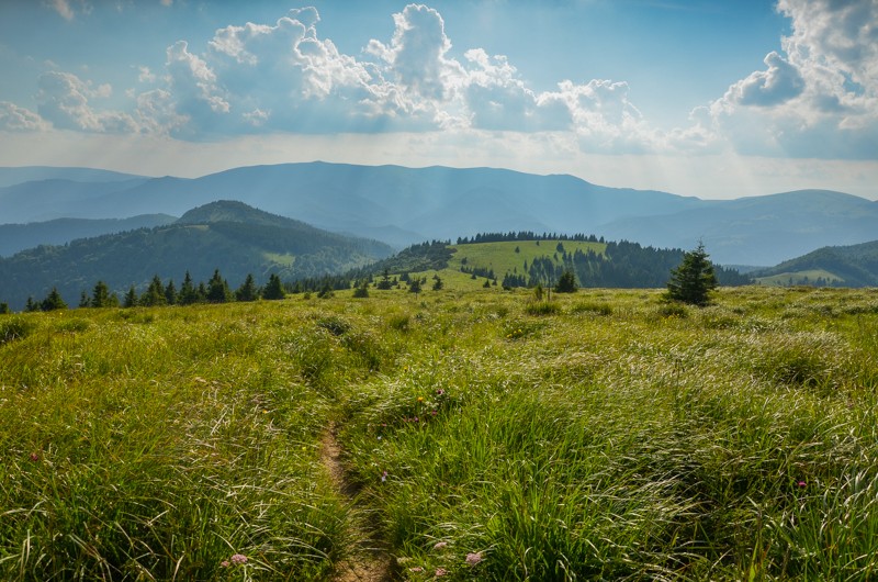 69 - Ostredok - Krížna - Zvolen, czyli Halną Fatrą do Donoval