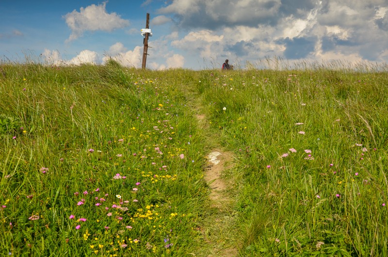 70 - Ostredok - Krížna - Zvolen, czyli Halną Fatrą do Donoval