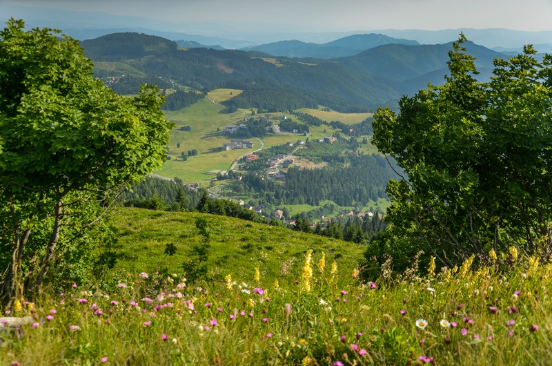 79 - Ostredok - Krížna - Zvolen, czyli Halną Fatrą do Donoval