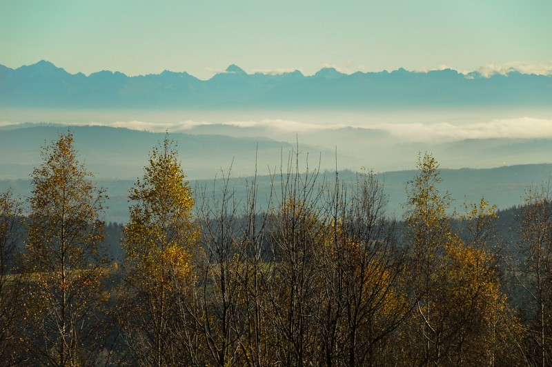 45 - Groń w B. Makowskim. Jordanów - Osielec - Bystra