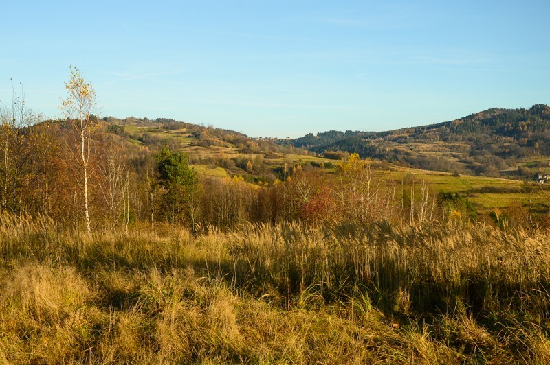 52 - Groń w B. Makowskim. Jordanów - Osielec - Bystra