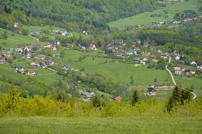 44 - Kiczera i Żar żółtym z Porąbki. Plus bonus rzepakowy