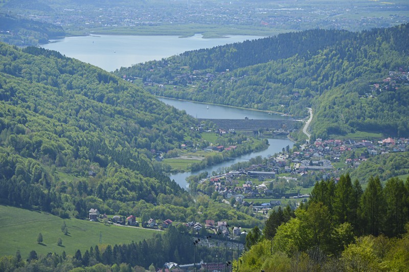 48 - Kiczera i Żar żółtym z Porąbki. Plus bonus rzepakowy