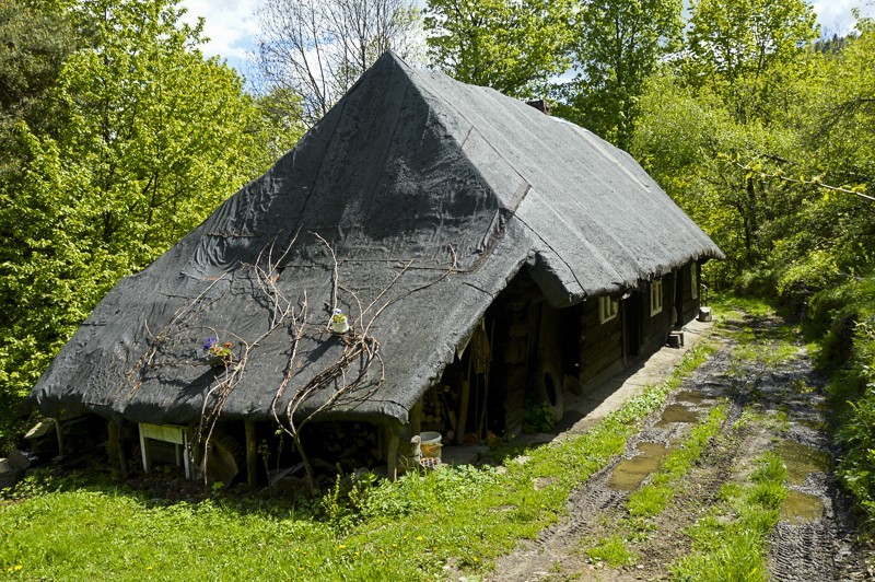 50 - Kiczera i Żar żółtym z Porąbki. Plus bonus rzepakowy