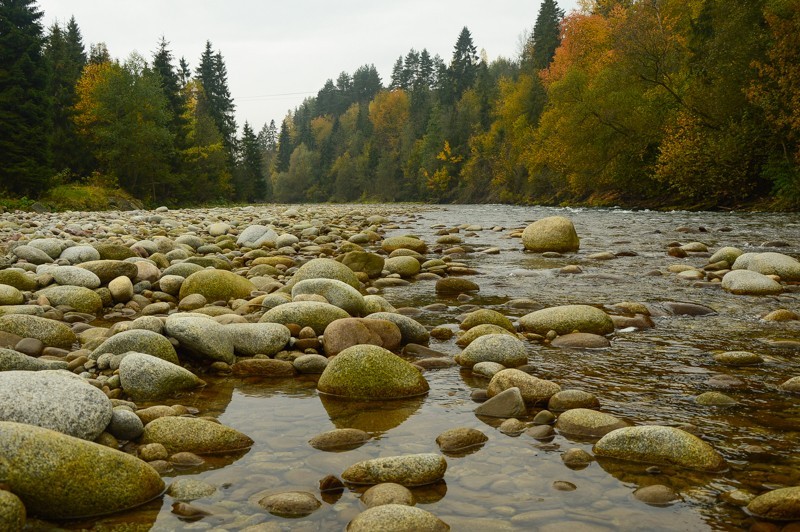 01 - Przełęcz nad Łapszanką z Łapsz. Jesienne mgły