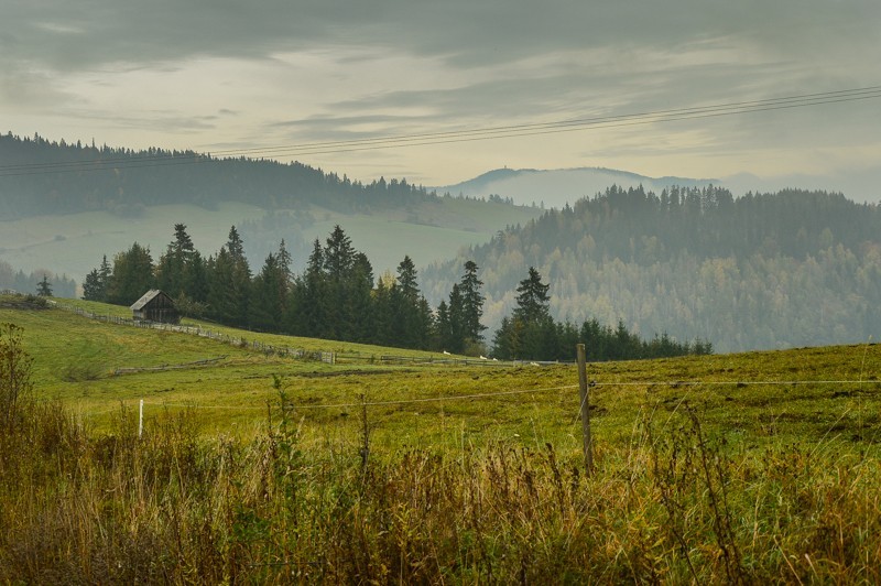 05 - Przełęcz nad Łapszanką z Łapsz. Jesienne mgły