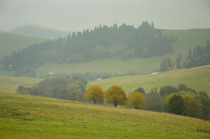 07 - Przełęcz nad Łapszanką z Łapsz. Jesienne mgły