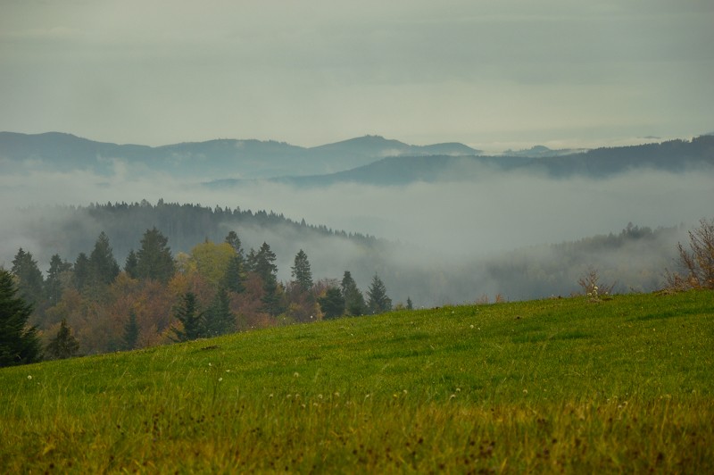 13 - Przełęcz nad Łapszanką z Łapsz. Jesienne mgły